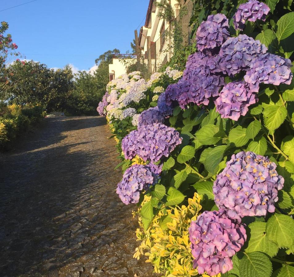 Villa Bouro - Breathtaking Scenery Near Geres Терраш-ди-Бору Экстерьер фото